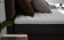 Lotus - Intel II - 5ft x 6.5ft - 8"