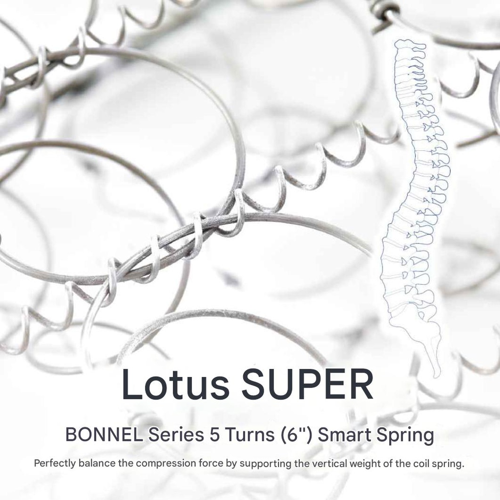 Lotus - Intel II - 5ft x 6.5ft - 8"